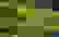 item-101196606=3