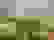 item-101196620=3