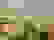 item-101196620=4