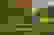 item-101196636=5