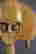 item-101251116=2