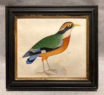 C1860 Beautiful Bird Watercolor: Title: C1860 Beautiful Bird WatercolorDimension: Total framed size is approximately 8" x 7 1/4".Additional Information: Very slight background discoloration. Otherwise GC. In a 19thc pine frame. 