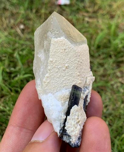 50 Gram Well Terminated Natural Tourmaline With Quartz: Title: 50 Gram Well Terminated Natural Tourmaline With Quartz Specimen Weight: 50 Gram Size/Dimensions: 60x32x23 mm Origin: Pakistan Reserve: $20.00 Shipping: Domestic: Flat-rate of $15.00 to anywhere