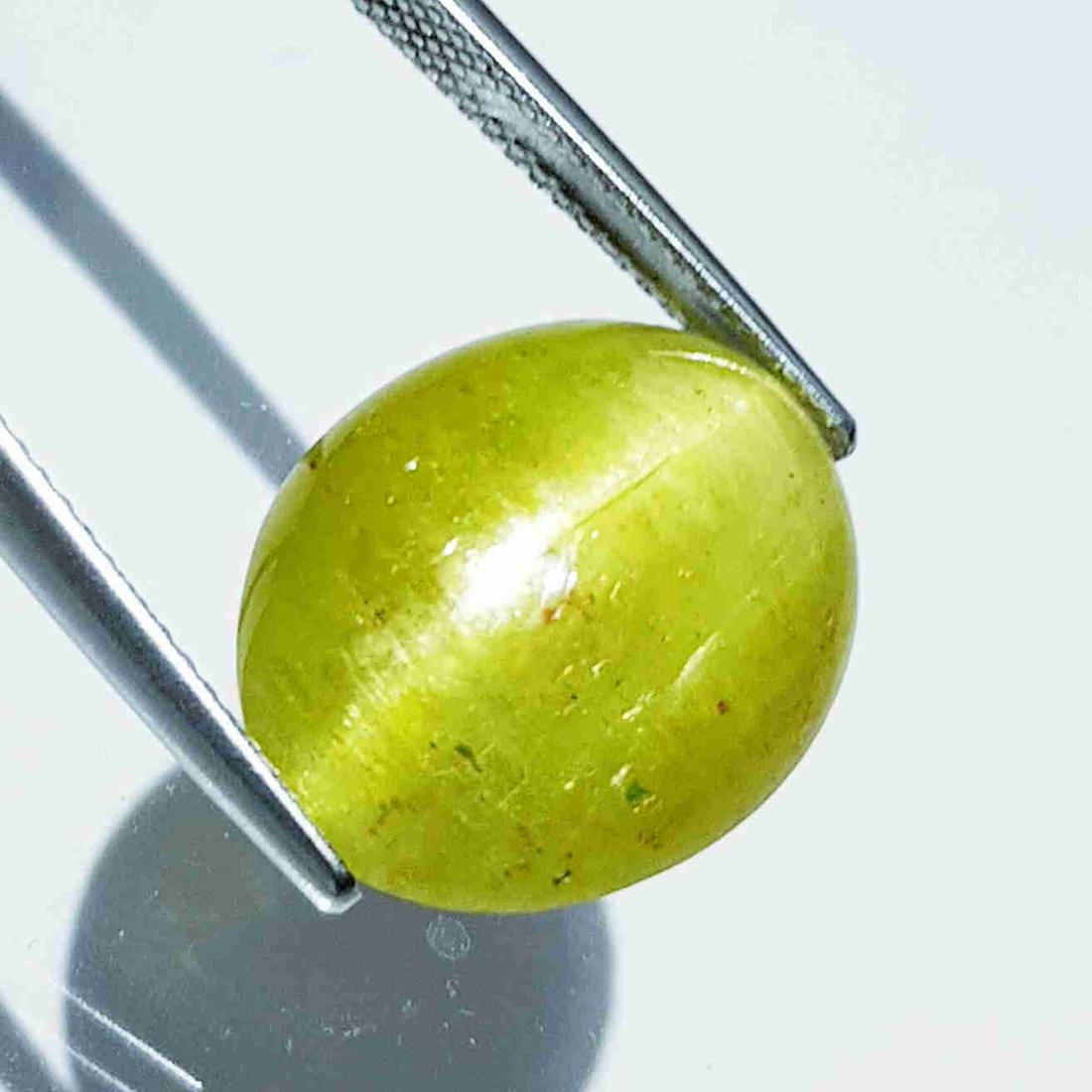 Natural Apatite cat's Eye 19.95 ct: No Reserve! Title: Natural Apatite cat's Eye 19.95 ct Color/Clarity: Opaque Gemstones: Loosegemstone Carat Weights: 19.95 Size/Dimensions: 17.10 x 14.00 x 10.10 Additional Information: Oval - Srilanka