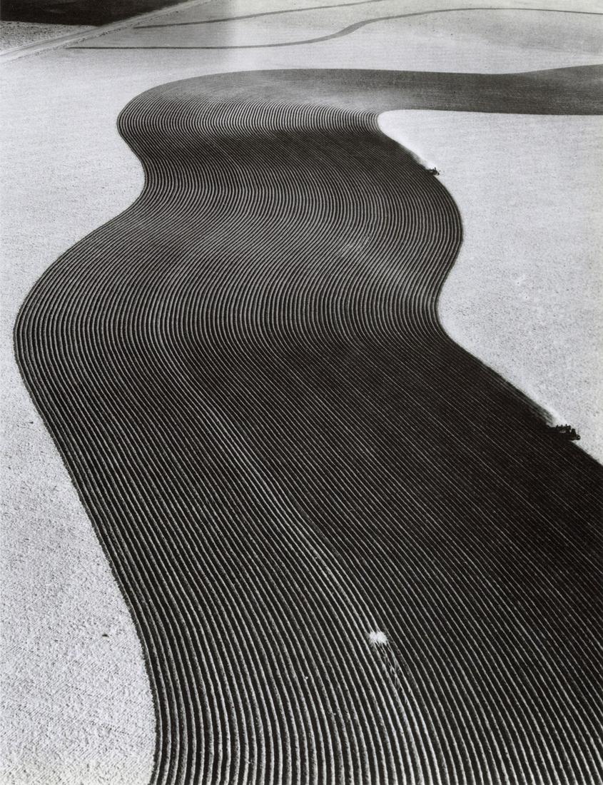 MARGARET BOURKE-WHITE - Contour Plowing, 1954 (1 of 1)