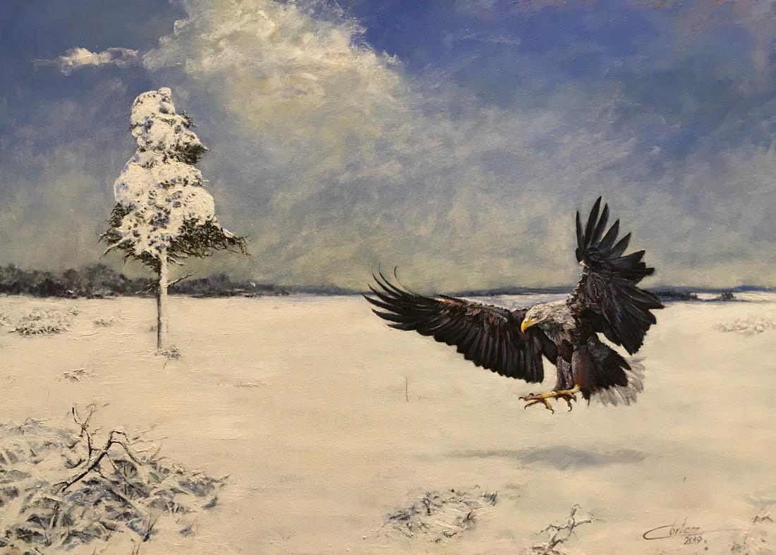Cortez - Hunting eagle (1 of 8)