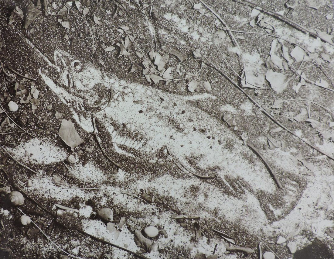 Vik Muniz - The Trout, after Courbet, Pictures of soil, (1 of 3)