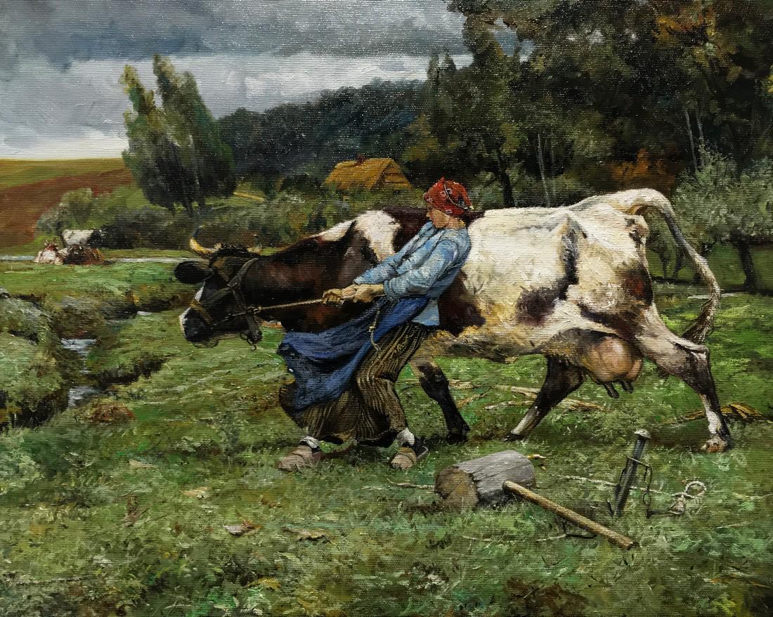 Cortez - Take it easy cow (1 of 14)