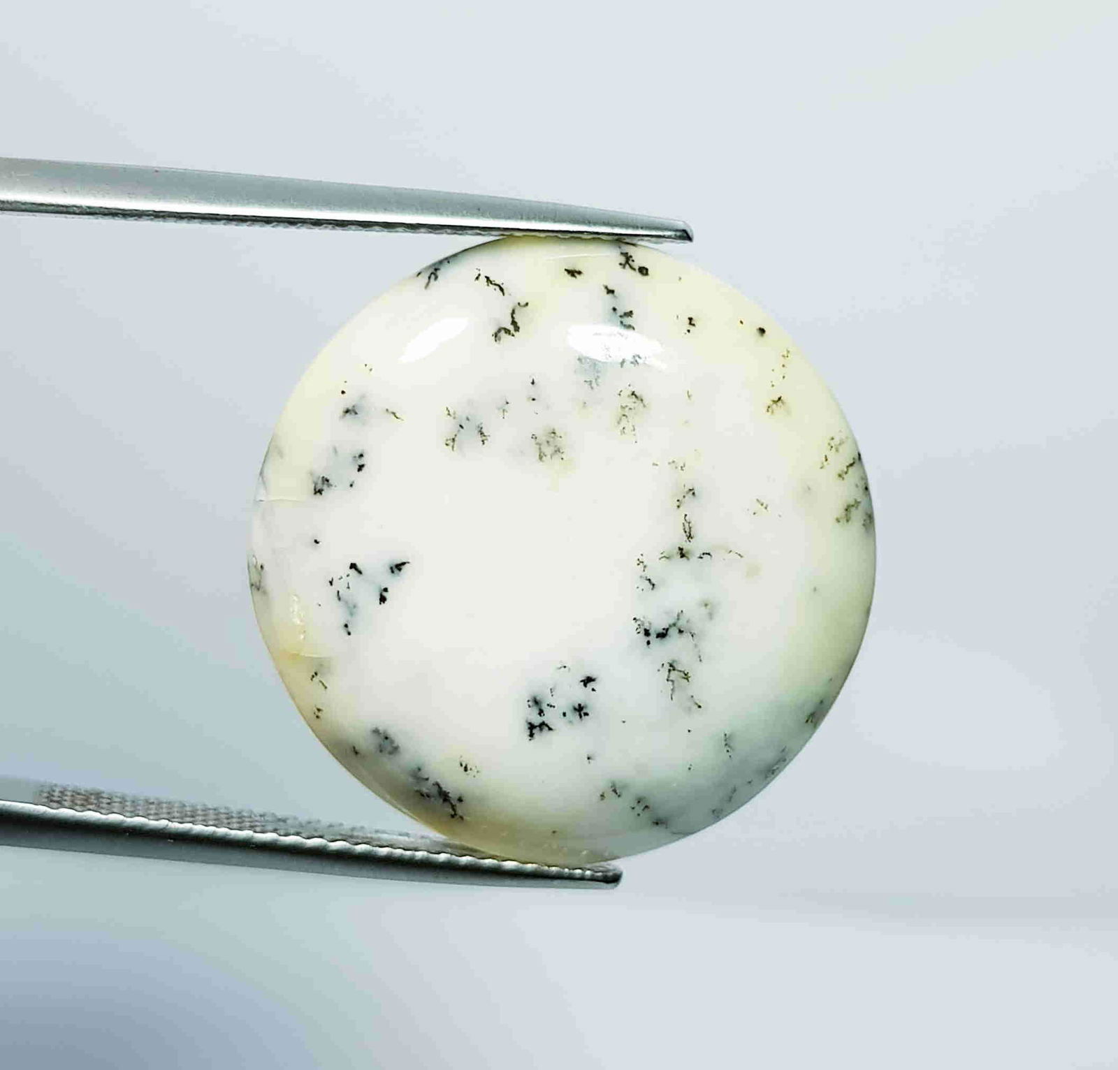 17.54 Ct Natural Dendrite Opal Round Cabochon (1 of 4)