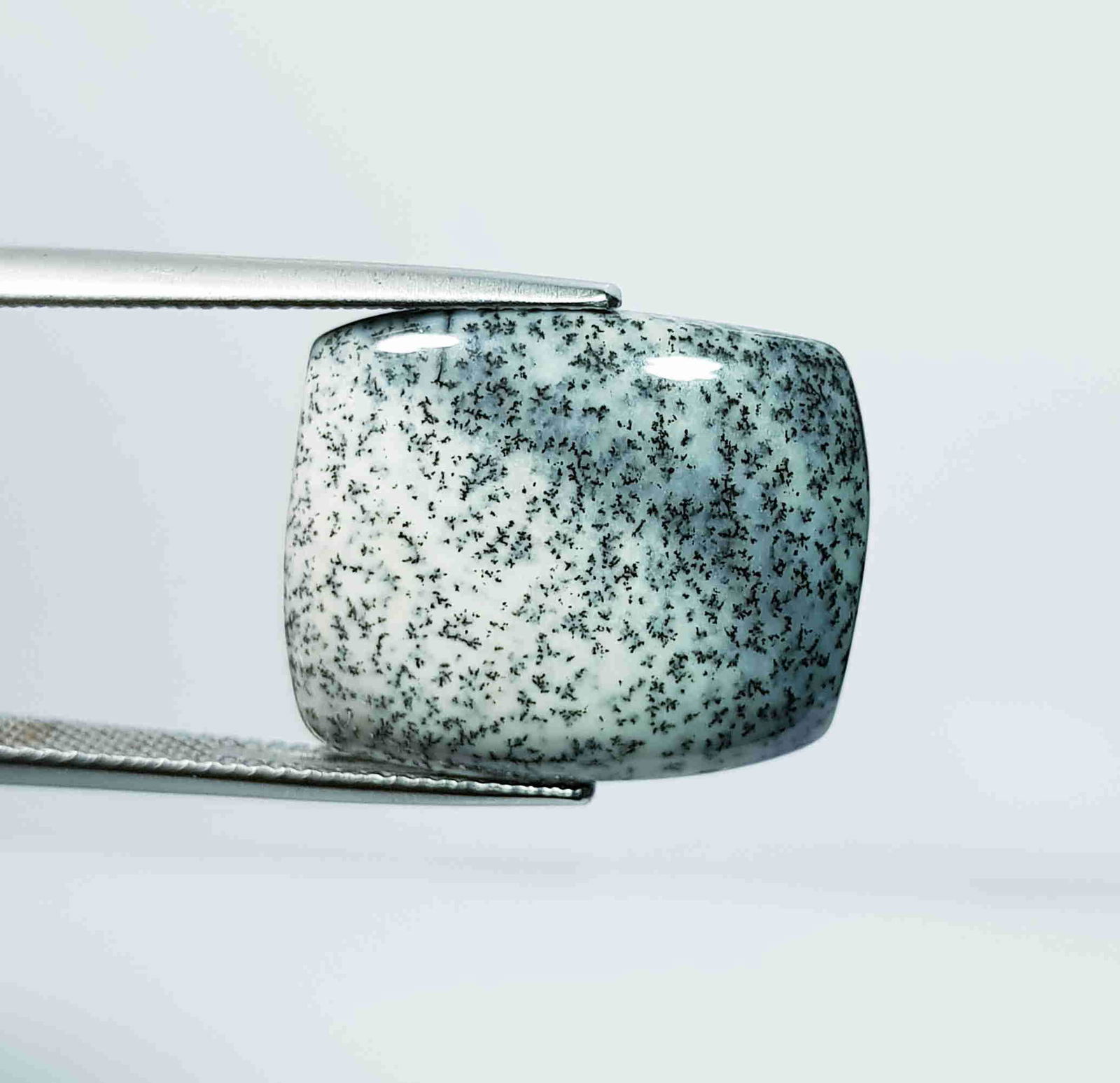 12.53 Ct Natural Dendrite Opal Octagon Cabochon (1 of 4)