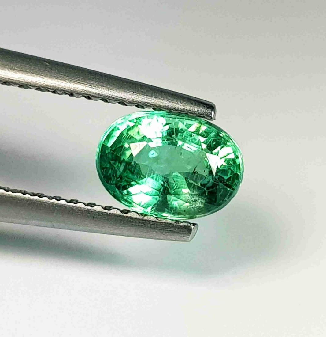 1.08 Ct Natural Apatite Oval Cut (1 of 4)