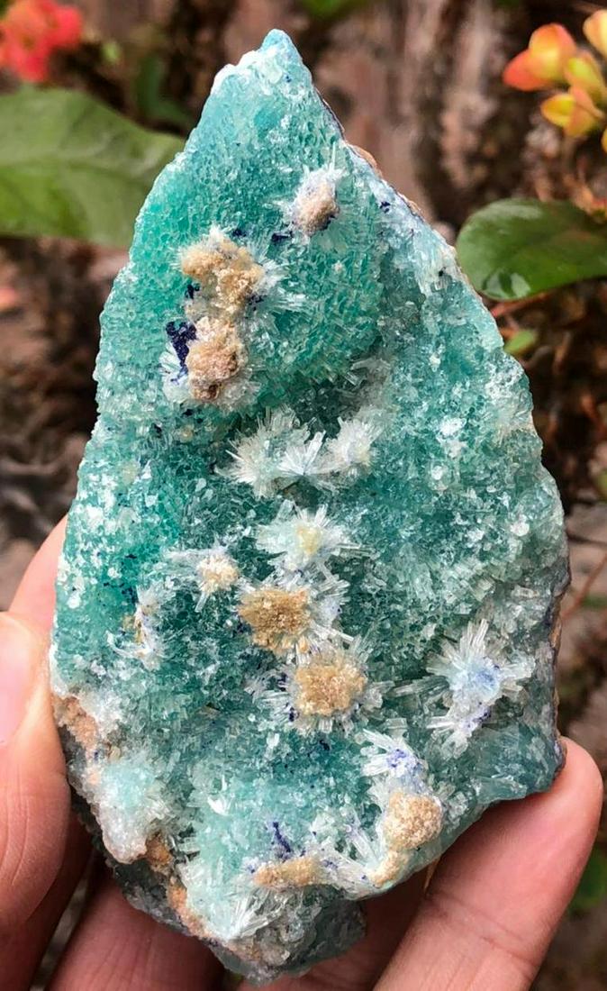 248 Grams Rare Smithsonite with Blue Azurite Combine (1 of 6)