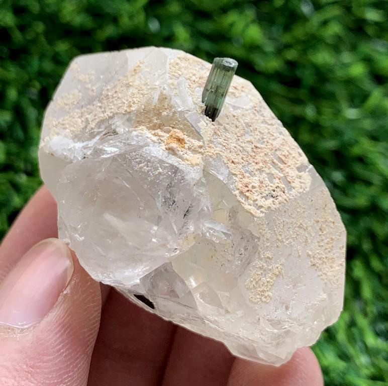 55 Gram Beautiful Natural Tourmaline With Quartz: Title: 55 Gram Beautiful Natural Tourmaline With Quartz Specimen Treatment: Natural Weight: 55 Gram Size/Dimensions: 48x30x28 mm Origin: Pakistan Reserve: $15.00 Shipping: Domestic: Flat-rate of $15.0
