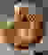 item-102113455=7