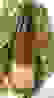 item-102113461=3