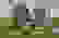 item-102113924=2