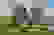 item-102113924=7