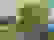 item-102113925=2