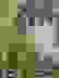 item-102113928=5