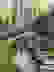 item-102113928=7