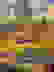 item-102113937=7