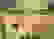 item-102113938=7