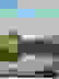 item-102113943=2