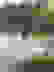item-102113943=6