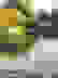 item-102113943=7