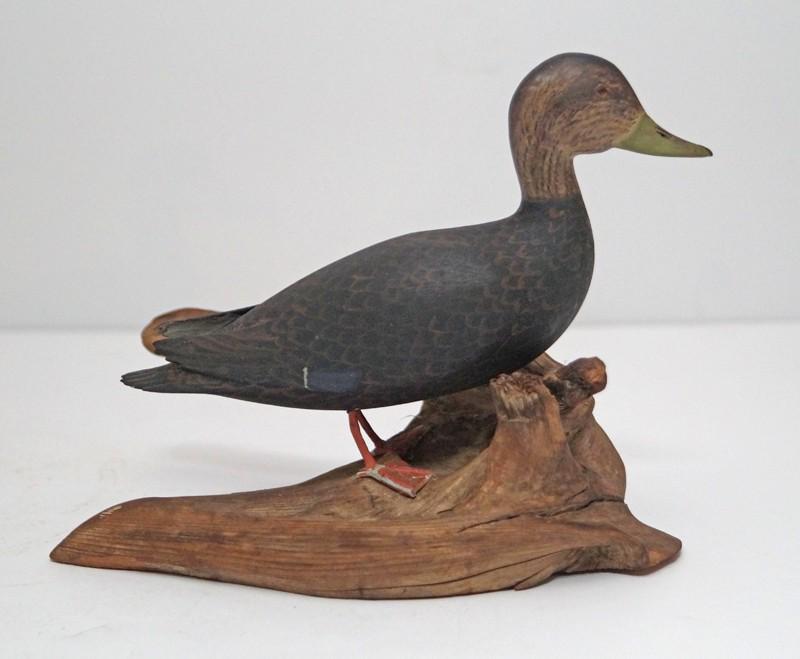 Black Duck Wood Carving by Gerald Robertson (1 of 9)