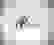 item-102154304=2