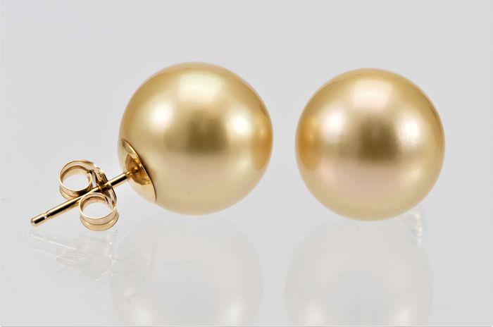 13x14mm Round Golden South Sea Pearls - 14 kt. Yellow (1 of 8)