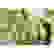 item-102198761=3