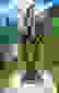 item-102290771=2