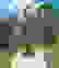 item-102290771=4