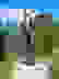 item-102290771=6