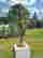 item-102290806=5