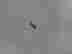 item-102290811=6