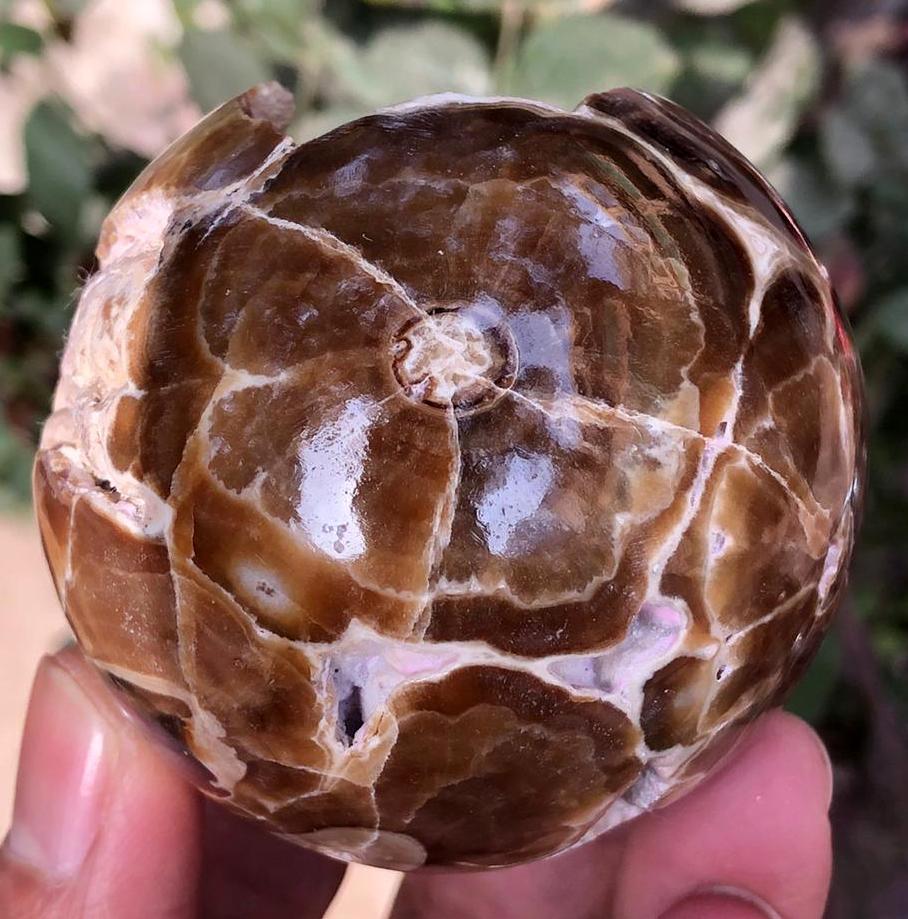 340 Grams Beautiful choclate Calcite Sphere (1 of 3)
