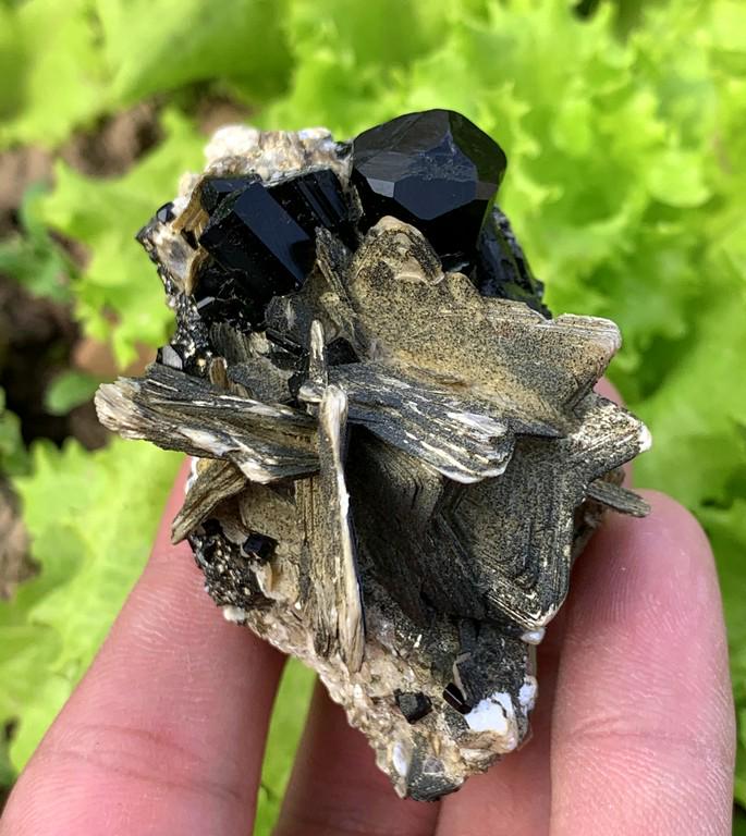 108 Gram Narural Tourmaline With Mica Specimen: Title: 108 Gram Narural Tourmaline With Mica Specimen Weight: 108 Gram Size/Dimensions: 68x46x35 mm Origin: Pakistan Reserve: $15.00 Shipping: Domestic: Flat-rate of $15.00 to anywhere within the cont