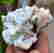 item-102428095=2