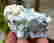item-102428095=5