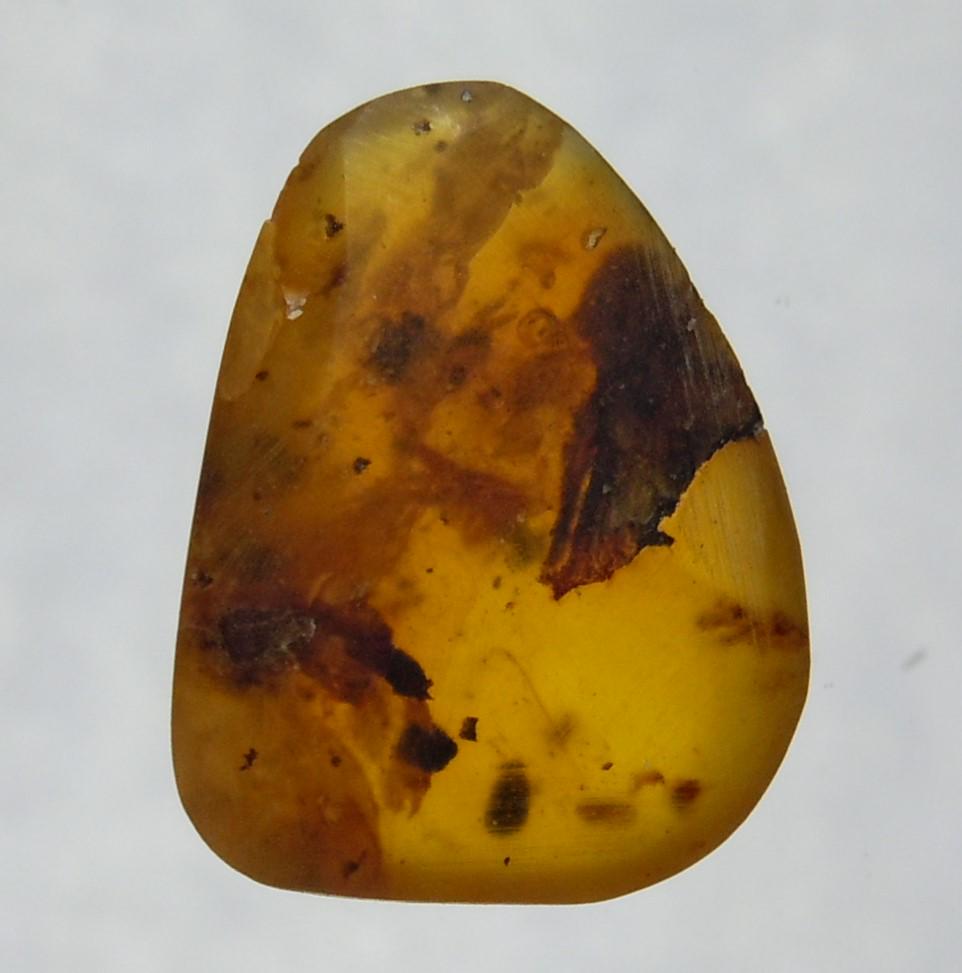 100 MILL YEARS OLD BURMITE AMBER: Title: 100 MILL YEARS OLD BURMITE AMBER Origin: Hukawang Valley, Kachin State, Myanmar Size: 3x0.9x0.8 cm / 1.24 gram dark brown burmite amber with inclusion and glow pattern. natural cracks Reserve: 