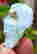 item-102428317=4