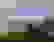 item-102431203=4