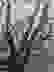 item-102431214=6
