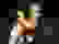 item-102433125=3