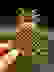 item-102433126=2