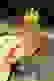 item-102433126=3