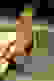 item-102433126=7
